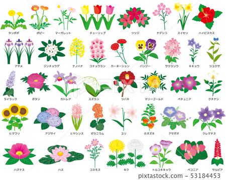 Set of flowers Set of flowers 53184453