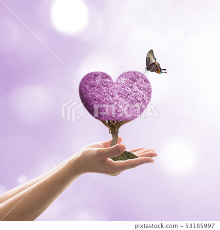 Happy Valentine day celebration February 14th Happy Valentine day celebration February 14th 53185997