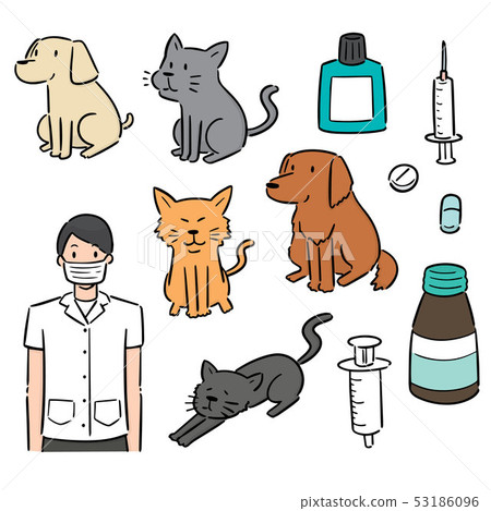 vector set of veterinarian, animal and equipment 53186096
