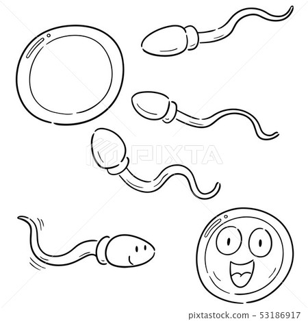 vector set of sperm and egg vector set of sperm and egg 53186917