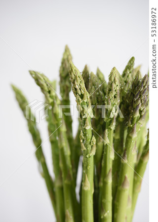 Asparagus 53186972