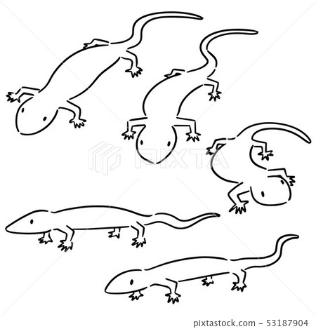 vector set of lizards vector set of lizards 53187904