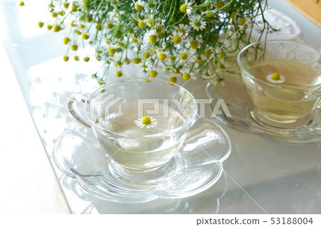 Herb chamomile 53188004