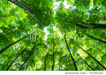 Fresh green and eco image 53188182
