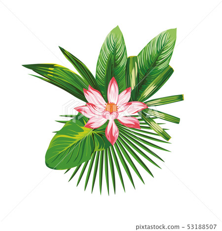 Tropical bouquet illustration flowers leaves 53188507