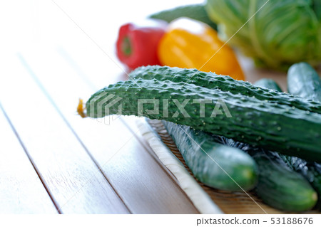 Cucumber Suyo (Yotsuba) Cucumber Cucumber Suyo (Yotsuba) Cucumber 53188676