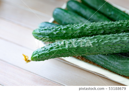 Cucumber Suyo (Yotsuba) Cucumber 53188679