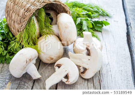Raw mushrooms in basket, copy space Raw mushrooms in basket, copy space 53189549