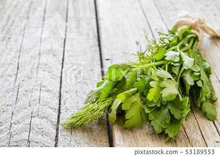 Parsley and dill, copy space Parsley and dill, copy space 53189553