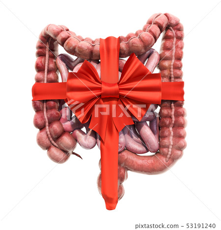 Human bowel with bow and ribbon. 3D rendering Human bowel with bow and ribbon. 3D rendering 53191240