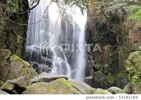 Mulberry tree waterfall Mulberry tree waterfall 53192169
