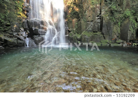 Mulberry tree waterfall 53192209