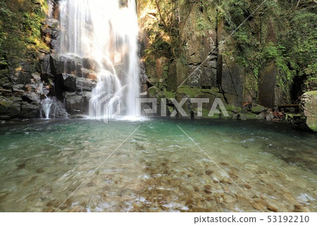Mulberry tree waterfall 53192210