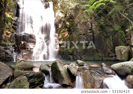 Mulberry tree waterfall Mulberry tree waterfall 53192415
