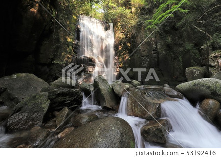 Mulberry tree waterfall Mulberry tree waterfall 53192416