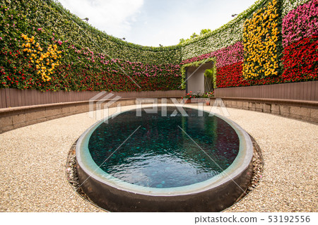 A rose garden A rose garden 53192556