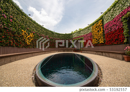 A rose garden 53192557