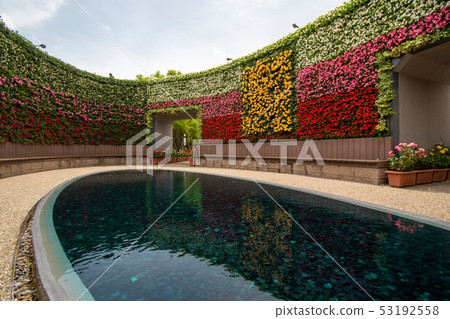 A rose garden 53192558