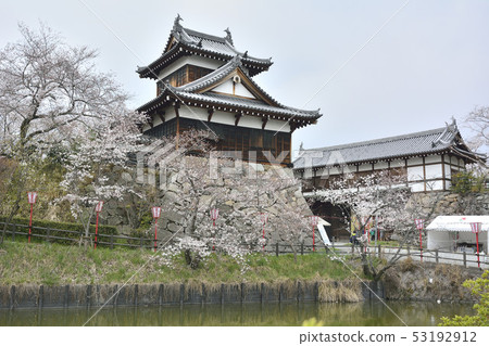 Yamatokoriyamajo Ochimukaimu Bairinmon Cherry blossoms 53192912