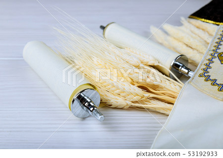 Fresh dairy products milk, cottage cheese wheat, Fresh dairy products milk, cottage cheese wheat, 53192933