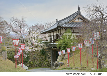 Yamatokoriyama城堡梅花環門櫻花 Yamatokoriyama城堡梅花環門櫻花 53193058