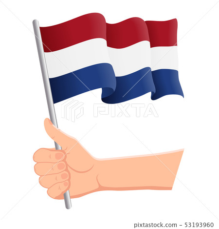 Hand holding and waving the national flag of Netherlands. Fans, independence day, patriotic concept Hand holding and waving the national flag of Netherlands. Fans, independence day, patriotic concept 53193960
