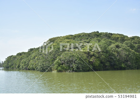 [Osaka Prefecture Sakai City] World Heritage Site, the Tomb of the Emperor Mausoleum of the Mozu Burial Mounds 53194981