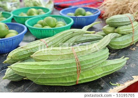 fresh luffa in the market 53195705