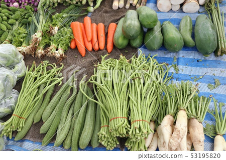Shops selling vegetables at the market 53195820