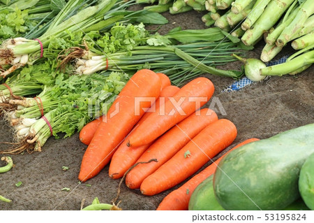 Shops selling vegetables at the market 53195824