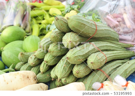 fresh luffa in the market fresh luffa in the market 53195993