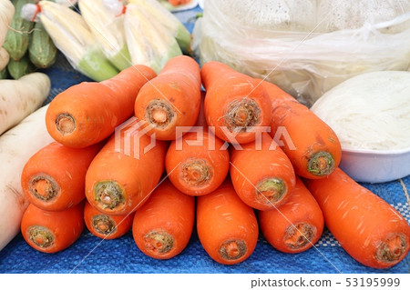 fresh carrot in the market 53195999
