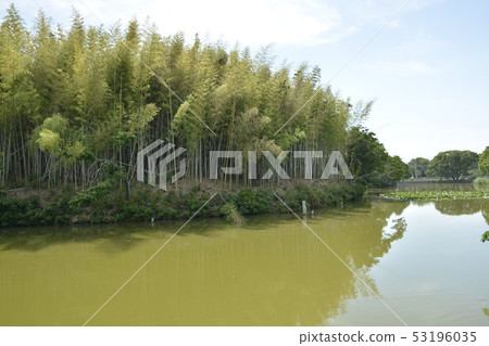 [大阪府Sak市]世界遺產 - 貓鼬墓群的古墓 53196035