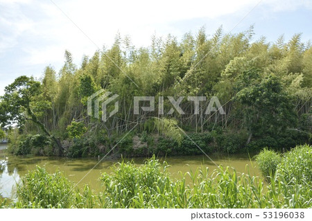 [大阪府Sak市]世界遺產 - 貓鼬墓群的古墓 53196038