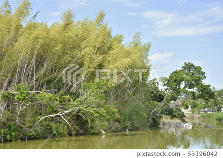 [Osaka Prefecture Sakai City] A World Heritage Site-The Ancient Tombs of the Mongoose Tomb Group 53196042