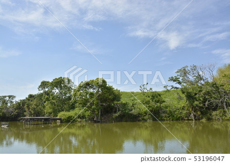 [Osaka Prefecture Sakai City] A World Heritage Site-The Ancient Tombs of the Mongoose Tomb Group 53196047