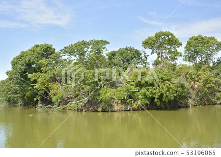 [Osaka Prefecture Sakai City] A World Heritage Site-The Ancient Tombs of the Mongoose Tomb Group 53196065