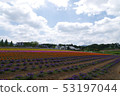 Flower field and cloudy sky 53197044