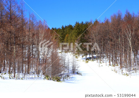 Palcall Tsumagoi度假村坡 Palcall Tsumagoi度假村坡 53199044
