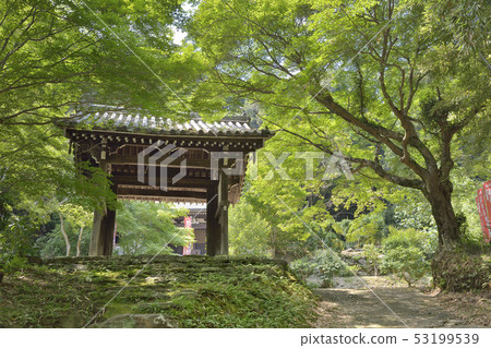 Tomyoji Sanmon Nara Tomyoji Sanmon Nara 53199539