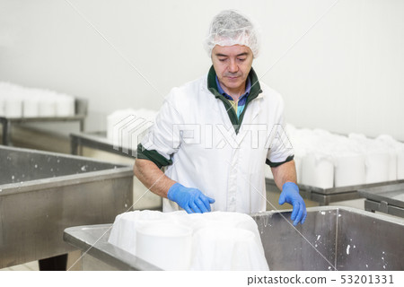 Cheese production industry. workers close up preparing cheese raw dough into molds. 53201331