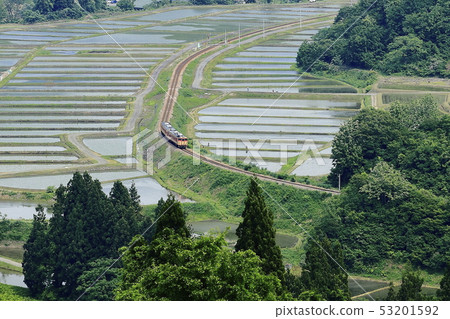 新鮮的綠色Tadami線 53201592