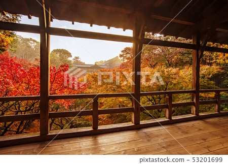 東福寺的紅葉景色 京都的紅葉名勝 京都的熱門景點 東福寺與通天橋 53201699