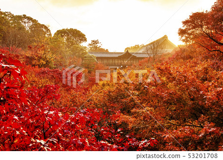 在秋天京都京都秋天斑點京都秋天秋天斑點的Tofuku籍寺廟 在秋天京都京都秋天斑點京都秋天秋天斑點的Tofuku籍寺廟 53201708