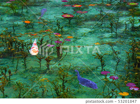 Pond of monet Pond of monet 53201847