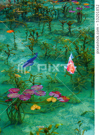 Pond of monet Pond of monet 53201852