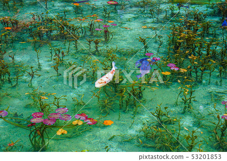 Pond of monet Pond of monet 53201853
