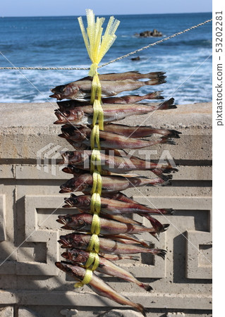 幹鱈魚 幹鱈魚 53202281