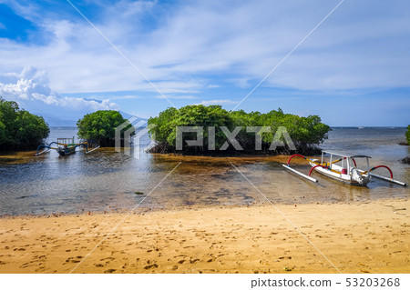 Mangrove beach, Nusa Lembongan island, Bali, 53203268