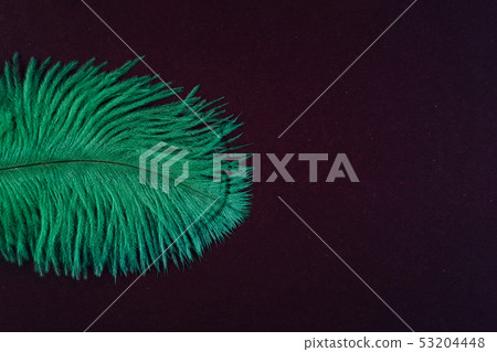 Green artificial isolated feather close up 53204448